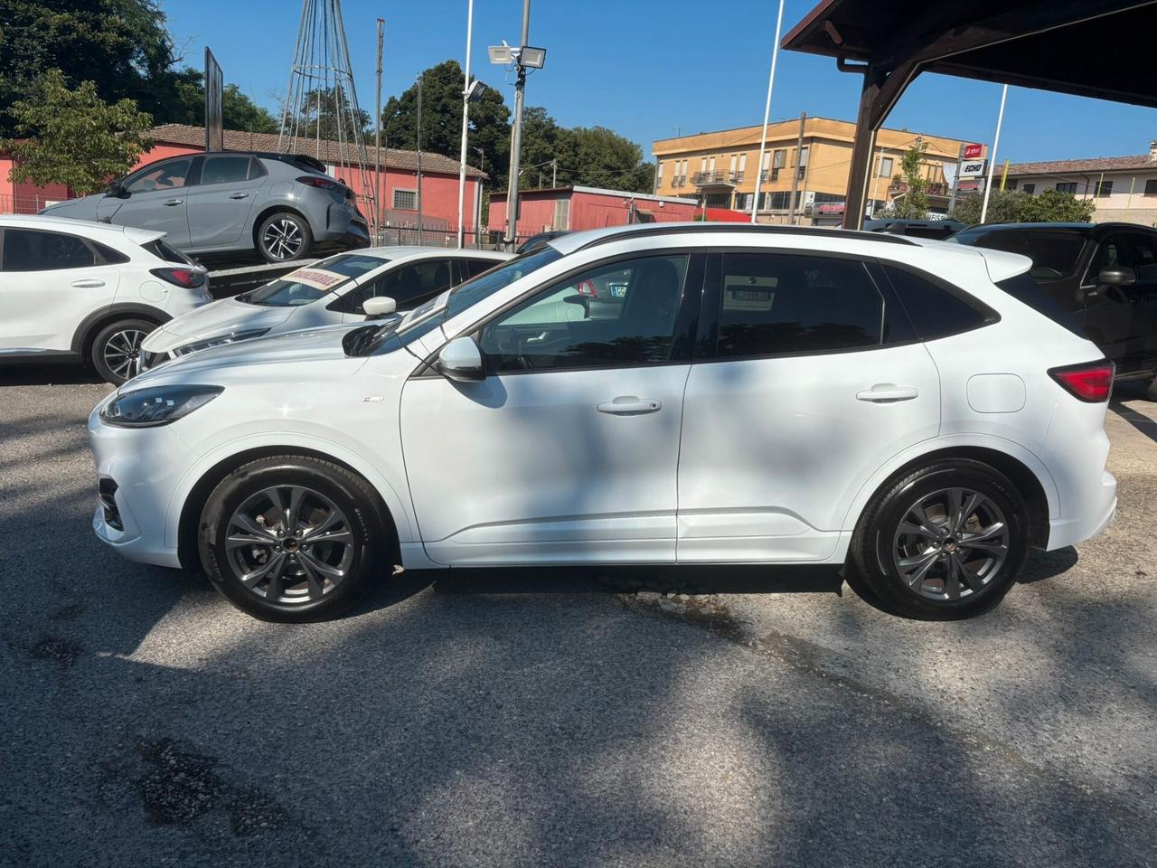 Ford Kuga 1.5 EcoBlue 120 CV aut. 2WD ST-Line