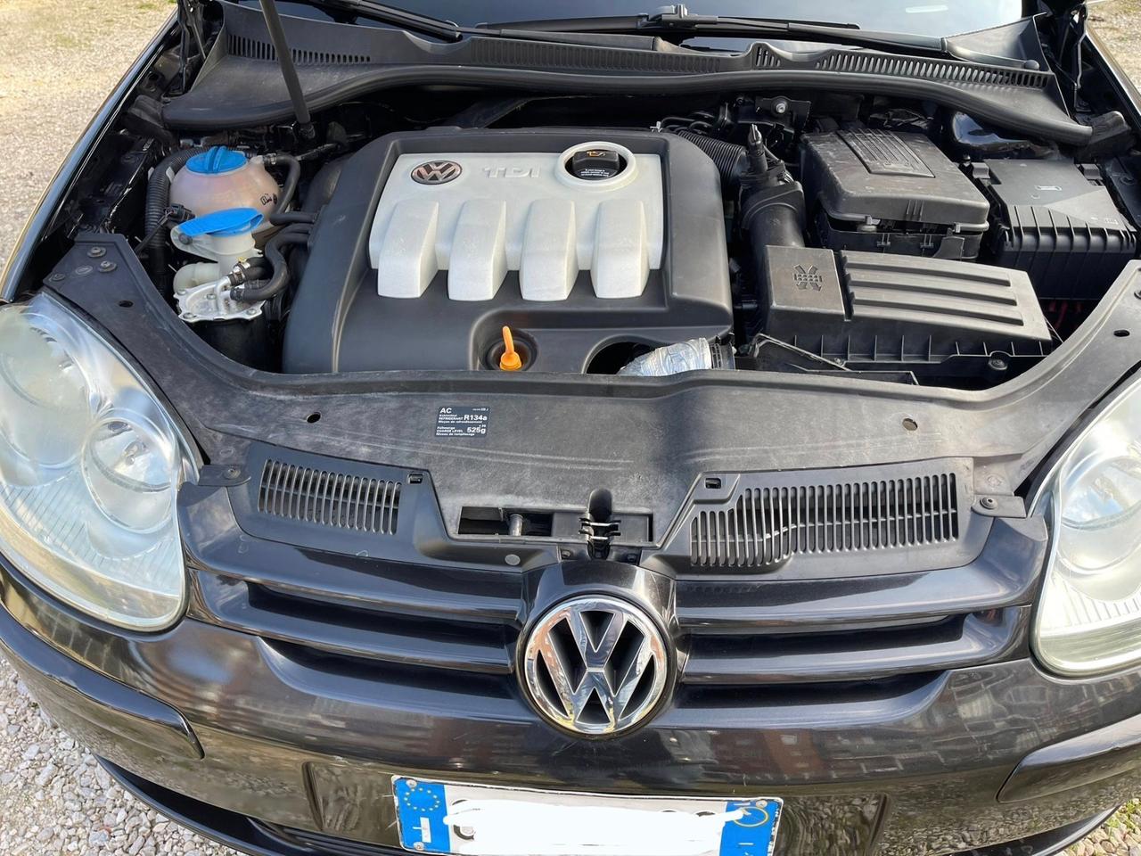 Volkswagen Golf 1.9 TDI/101 CV cat Var. Comfortline