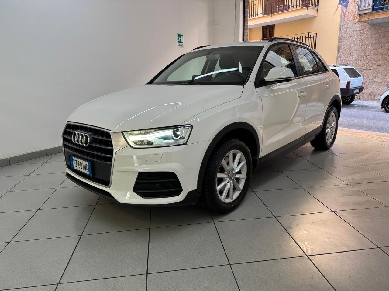 Audi Q3 2.0 TDI 120 CV Business 2015