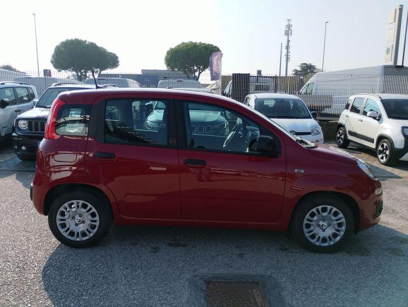 FIAT Pandina Pandina 1.0 firefly hybrid Icon s&s 65cv