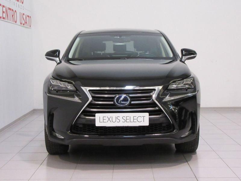 Lexus NX NX Hybrid 4WD Luxury