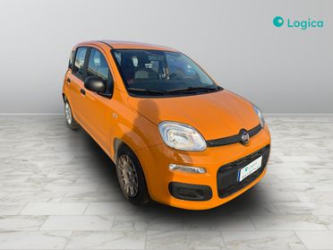 FIAT Panda III 2021 - Panda 1.0 firefly hybrid s&s 70cv