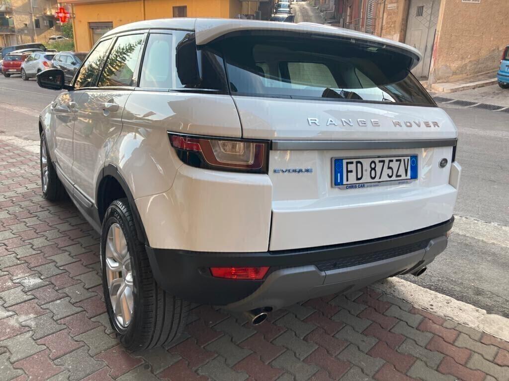 Range Rover Evoque 2.0 TD4 150 CV 5p. Business Edition Pure