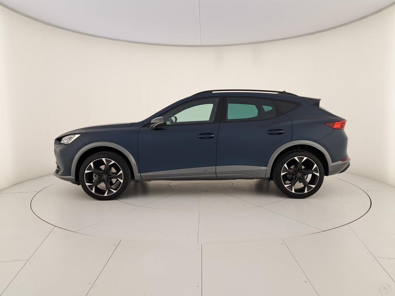 Cupra Formentor 2.0 tsi 4drive 190cv dsg