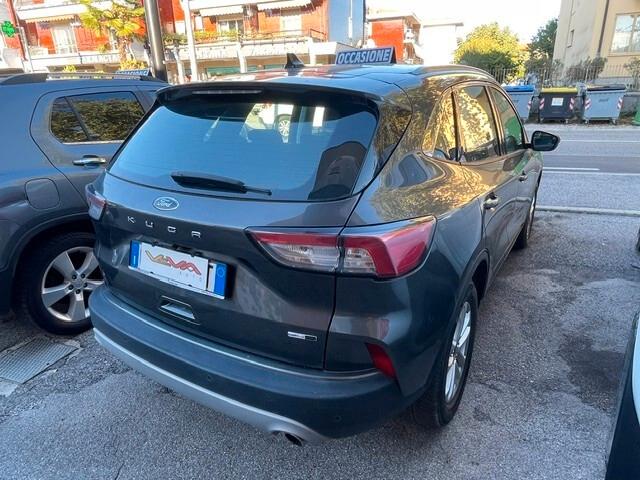 Ford Kuga 2.0 EcoBlue Hybrid 150 CV 2WD Titanium Business