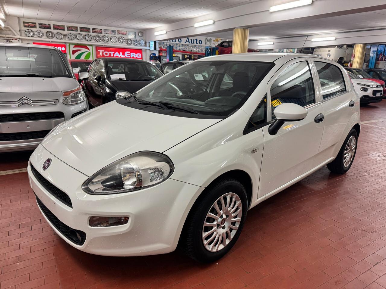 Fiat Punto 1.2 8V 5 porte Young