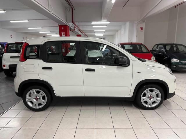 FIAT New Panda 1.0 Hybrid PROMO CAR SERENITY