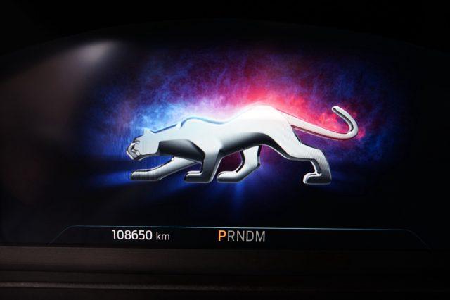FORD Puma 1.0 EcoBoost Hybrid 125 CV S&S aut. ST-Line