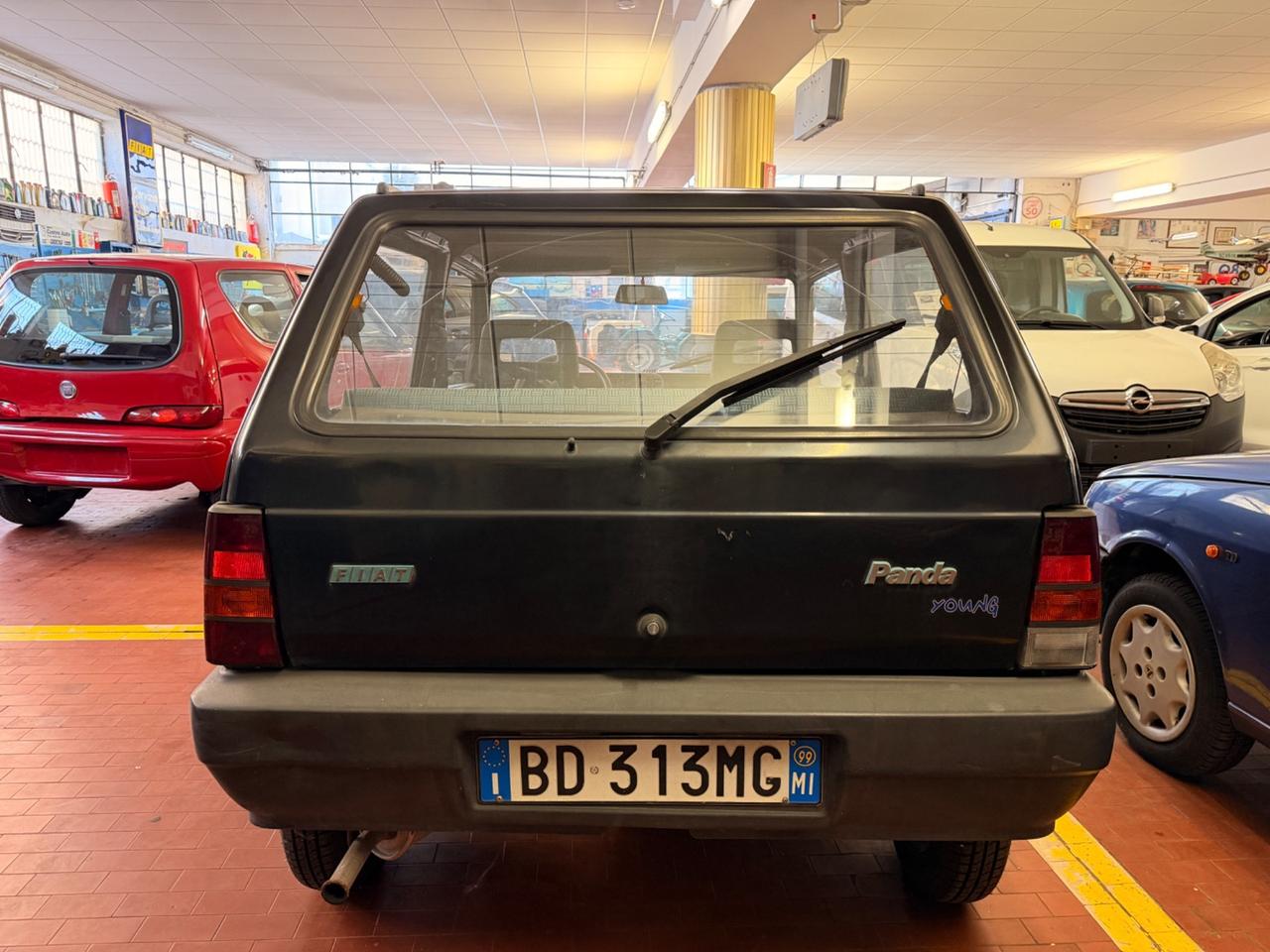 Fiat Panda 900 i.e. cat Young