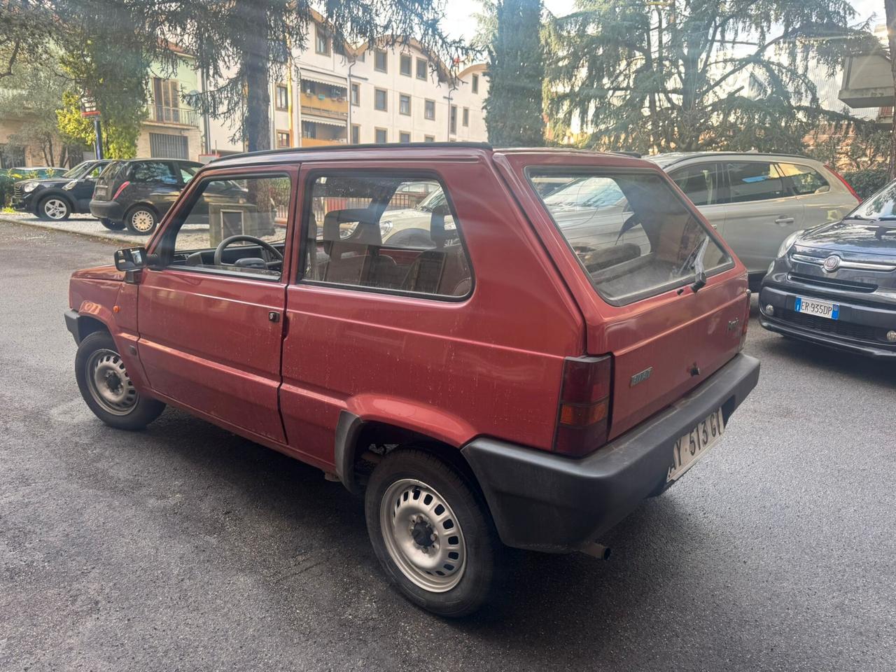 Fiat Panda 900 i.e. cat Young