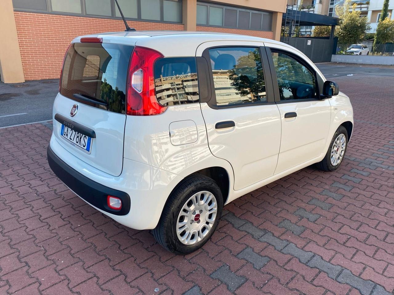 FIAT PANDA EASY 1.2cc OK NEO PATENTATI