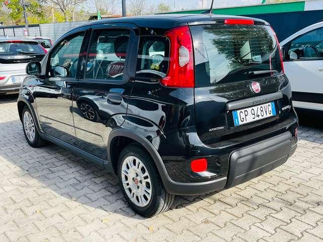 Fiat Panda Panda 1.0 firefly S&S PRONTA CONSEGNA SUPER PROMO