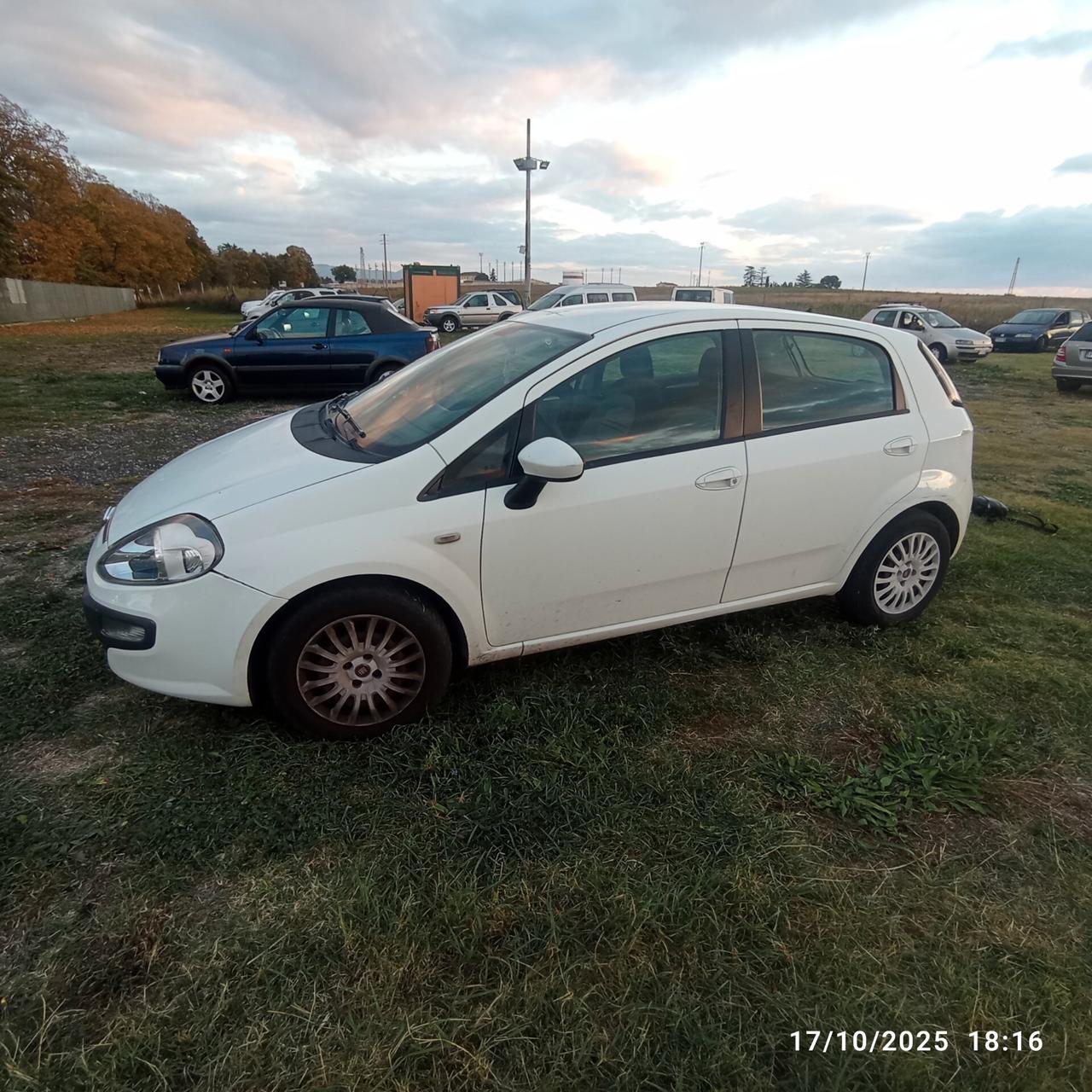 Fiat Punto Evo 1.3 Mjt 75 CV DPF 5 porte S&S Active