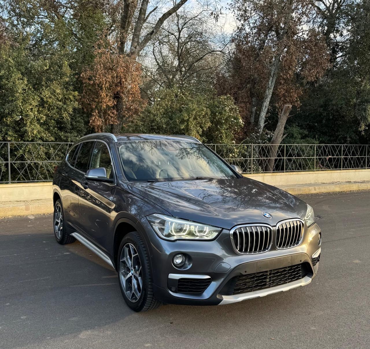 Bmw X1 xDrive20d xLine Anno 2017