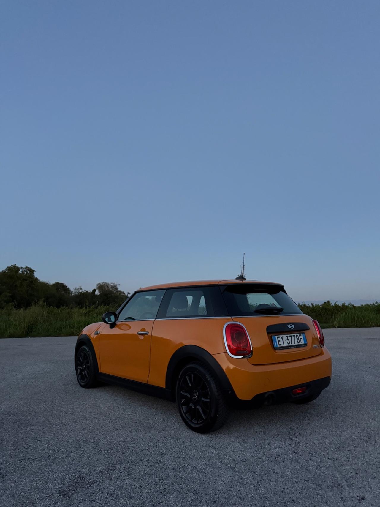 Mini 1.5 One D