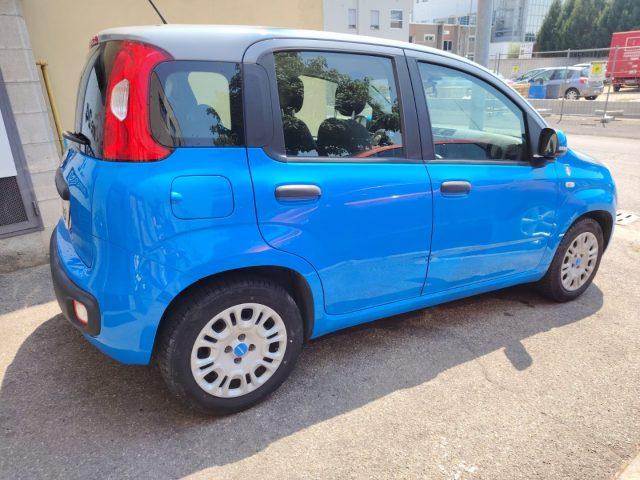 FIAT Panda 1.2 Pandazzurri UNICA-PREZZO REALE-FINANZIABILE