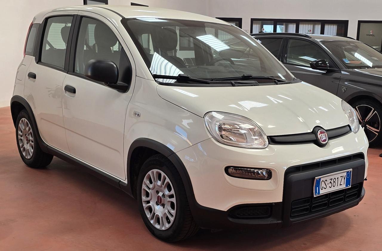 Fiat Panda 1.0 FireFly Hybrid 70 CV – La City Car Pratica e Tecnologica