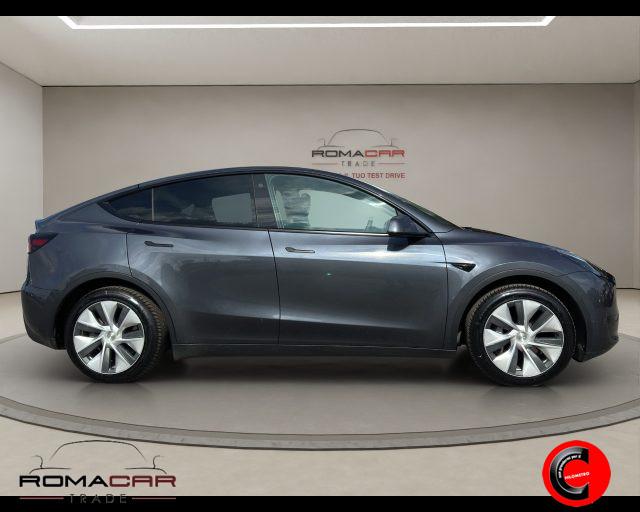 TESLA Model Y RWD