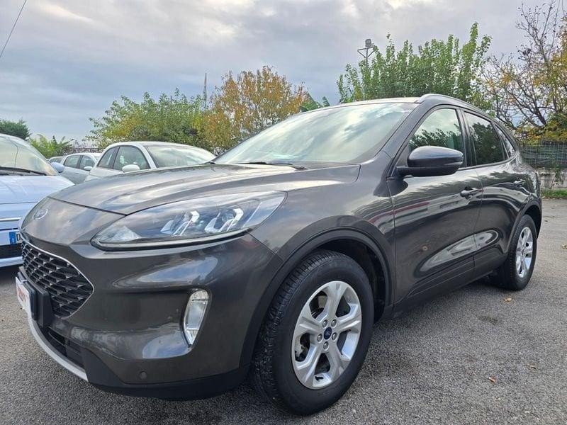 Ford Kuga 1.5 EcoBlue 120 CV aut. 2WD ST-Line X