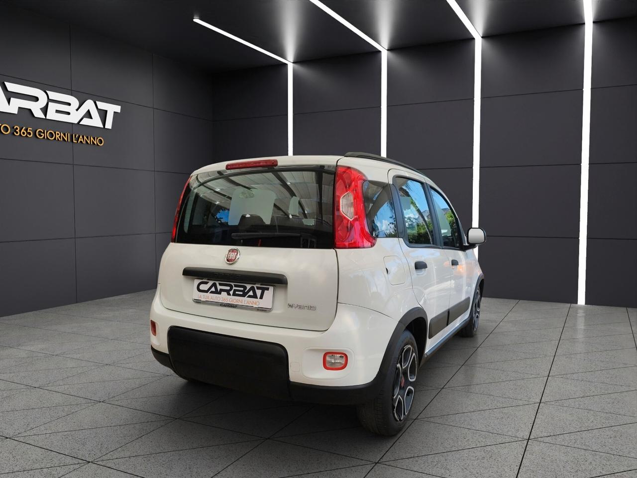 FIAT Panda 3ª serie Panda 1.0 FireFly S&S Hybr...