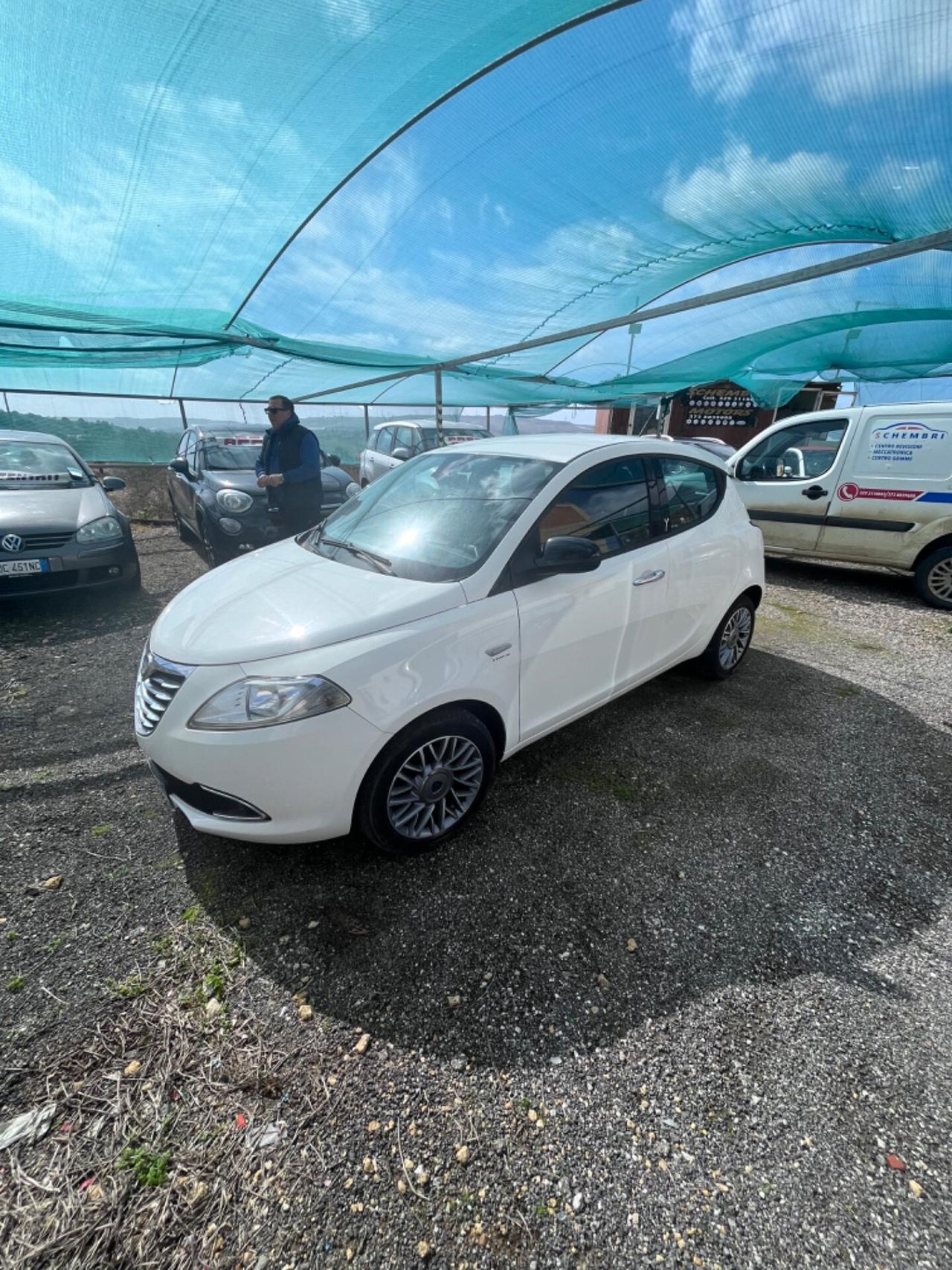 Lancia Ypsilon 1.3 MJT 16V 95 CV 5 porte S&S Platinum