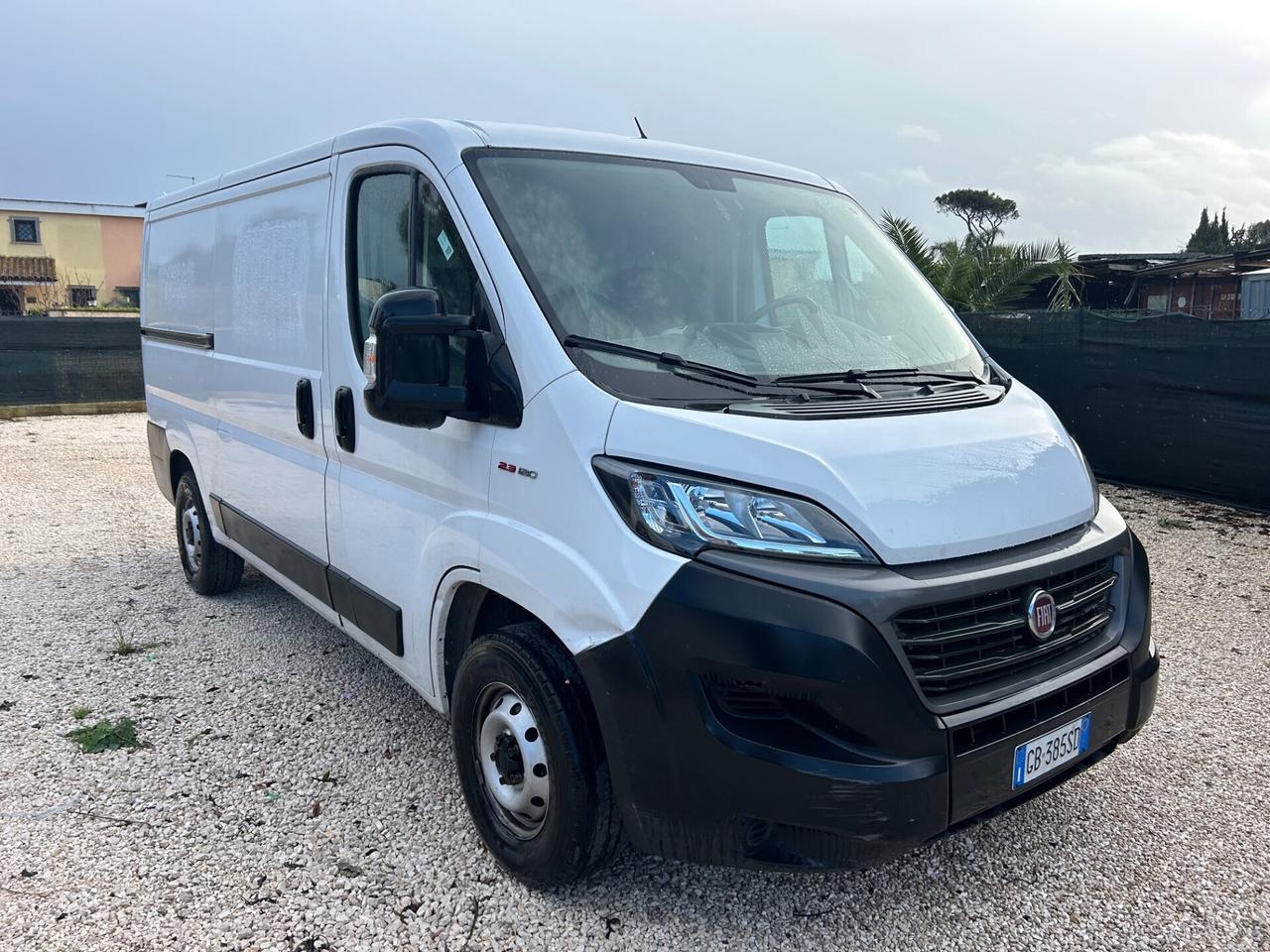 Ducato