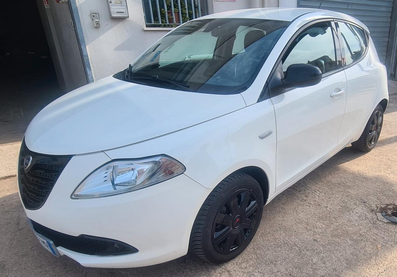 Lancia Ypsilon 1.2 69 CV 5 porte Elefantino