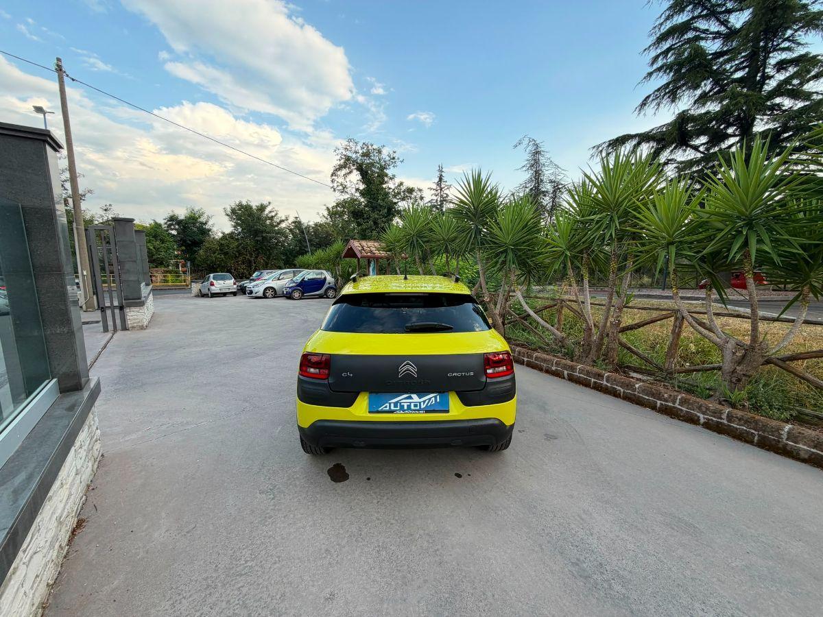 CITROEN - C4 Cactus - BlueHDi 100 S&S Live