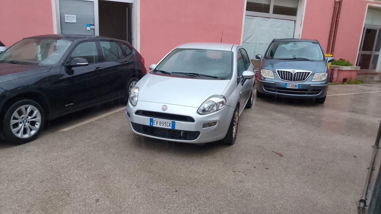 Fiat Punto 1.3 MJT II 75 CV 5 porte Street