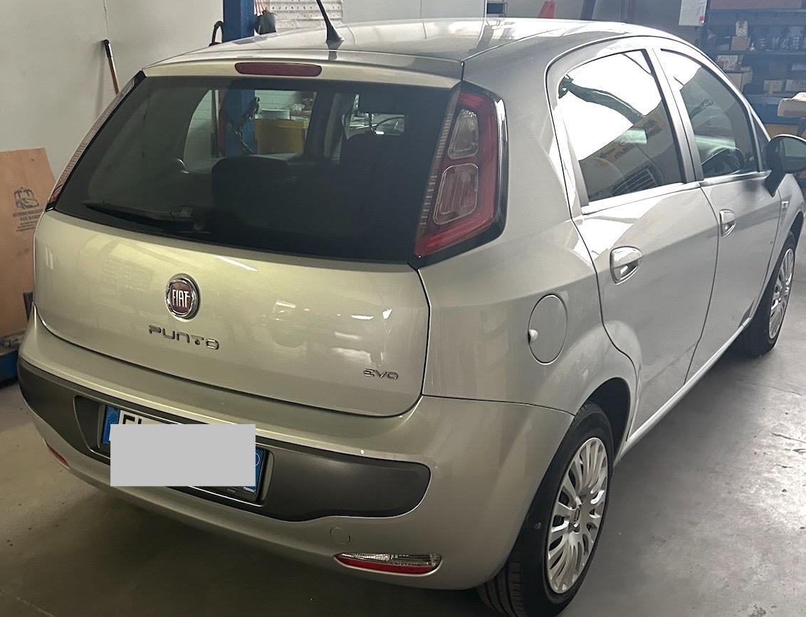 Fiat Punto Evo Punto Evo 1.4 5 porte Dynamic EasyPower
