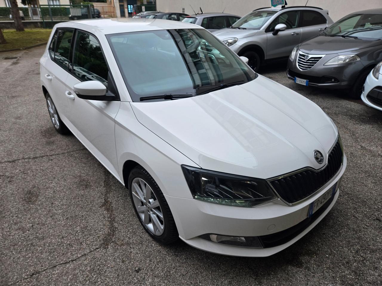 Skoda Fabia 1.4 TDI 75 CV Autocarro 4Posti