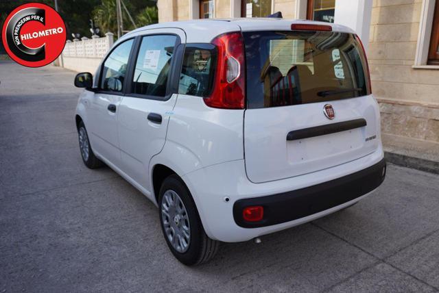 FIAT Pandina ICON