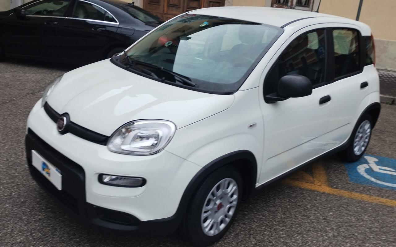 Fiat Panda 1.0 FireFly S&S Hybrid NEOPATENTATI