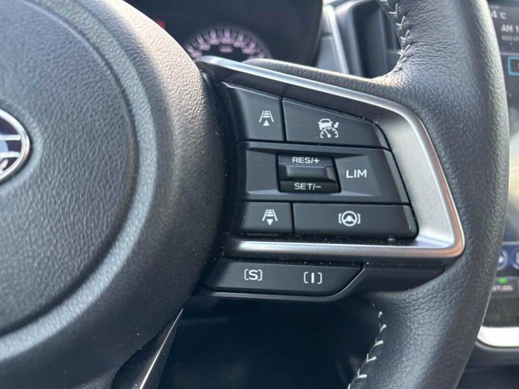 Subaru Crosstrek 2.0 i e-BOXER Style Xtra CVT Lineartronic