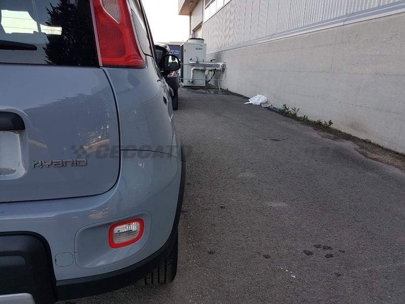 FIAT Panda Panda 1.0 firefly hybrid City Life s&s 70cv 5p.ti