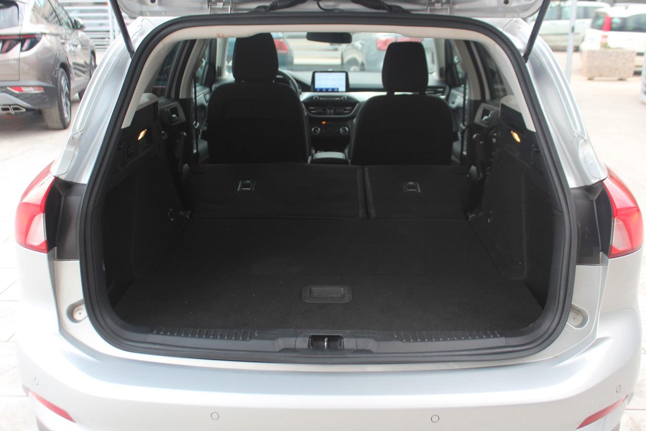 Ford Focus 1.5 EcoBlue 120 CV automatico SW Business Co-Pilot