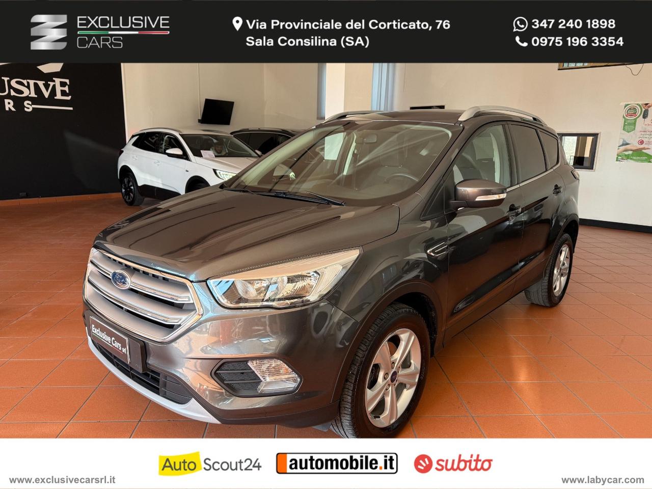 FORD Kuga 1.5 EcoBoost 120CV S&S 2WD Business