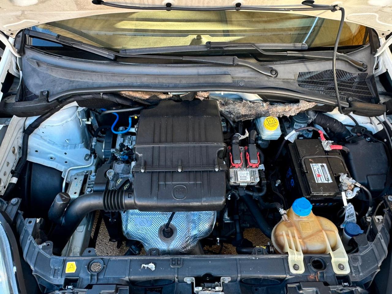 Fiat Punto Evo 1.4 5 porte Active Con Tetto Apribile