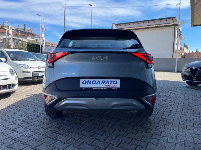 KIA Sportage 1.6 CRDI 136 CV DCT7 2WD Mild Hybrid Business Clas