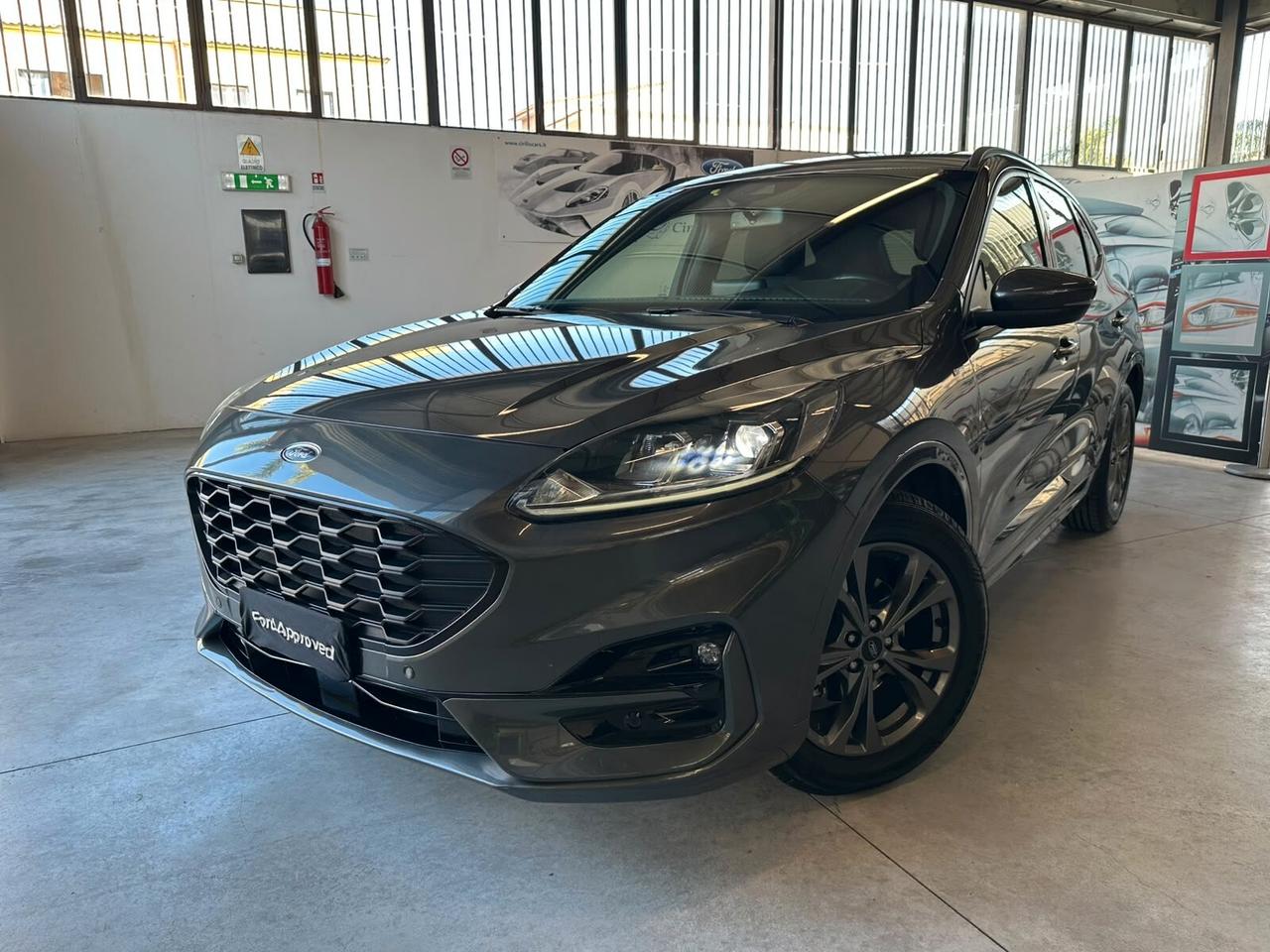Ford Kuga 1.5 EcoBlue 120CV 2WD ST-Line