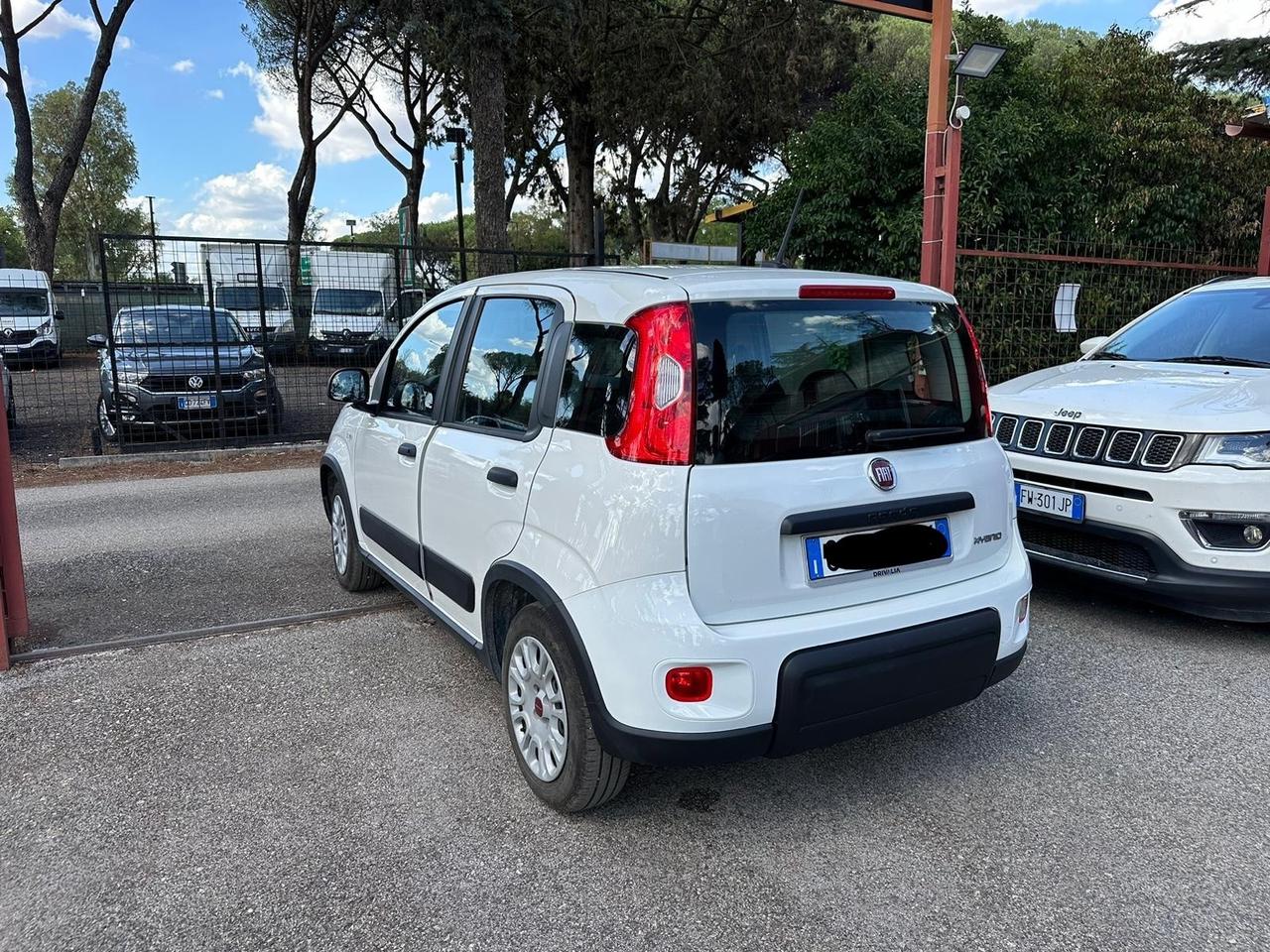 Fiat Panda 1.0 FireFly S&S Hybrid City Life NAVIGATORE PRONTA CONSEGNA