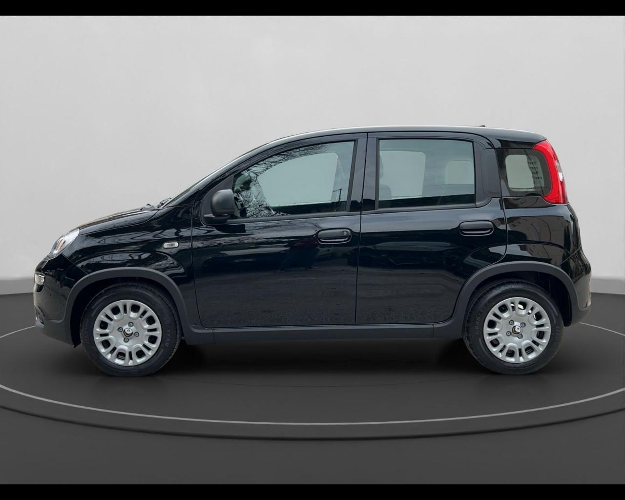 FIAT Panda III 2024 - Panda 1.0 firefly hybrid s&s 70cv