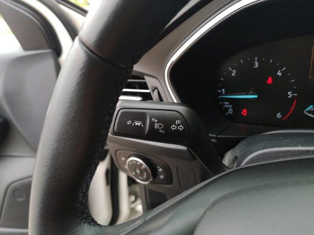 FORD Focus 1.5 EcoBlue 120 CV automatico SW Business Co-Pilot