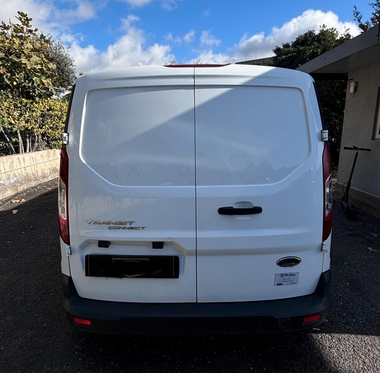 Ford Transit Connect (N1)