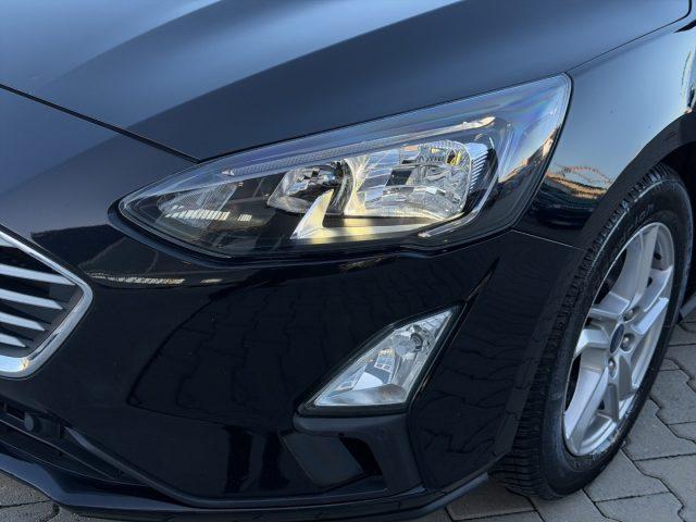 FORD Focus 1.5 ECOBLUE 95CV