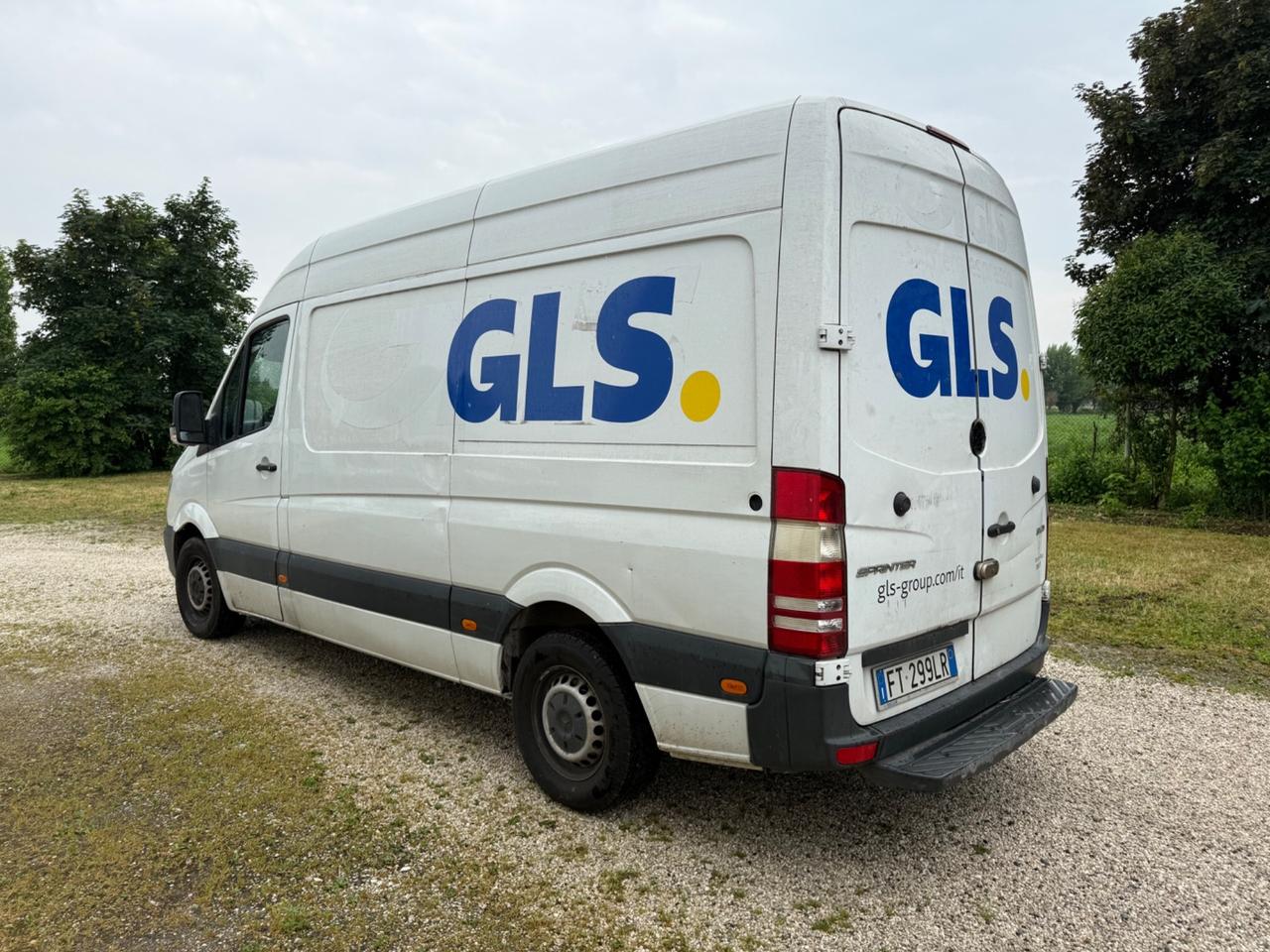 Mercedes-benz Sprinter F32/33 316 CDI TN Furgone Pro