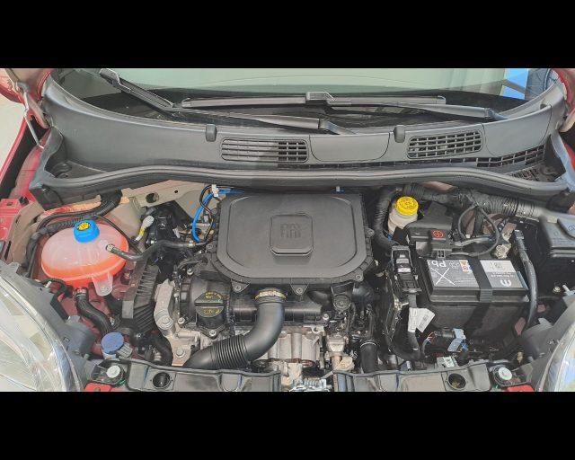 FIAT New Panda 1.0 firefly hybrid s&s 70cv - PACK CITY