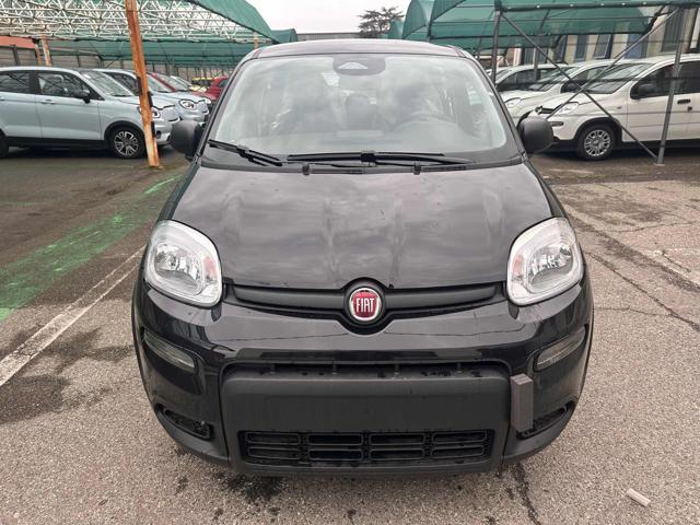 FIAT New Panda Hybrid My25 PROMO CAR SERENITY