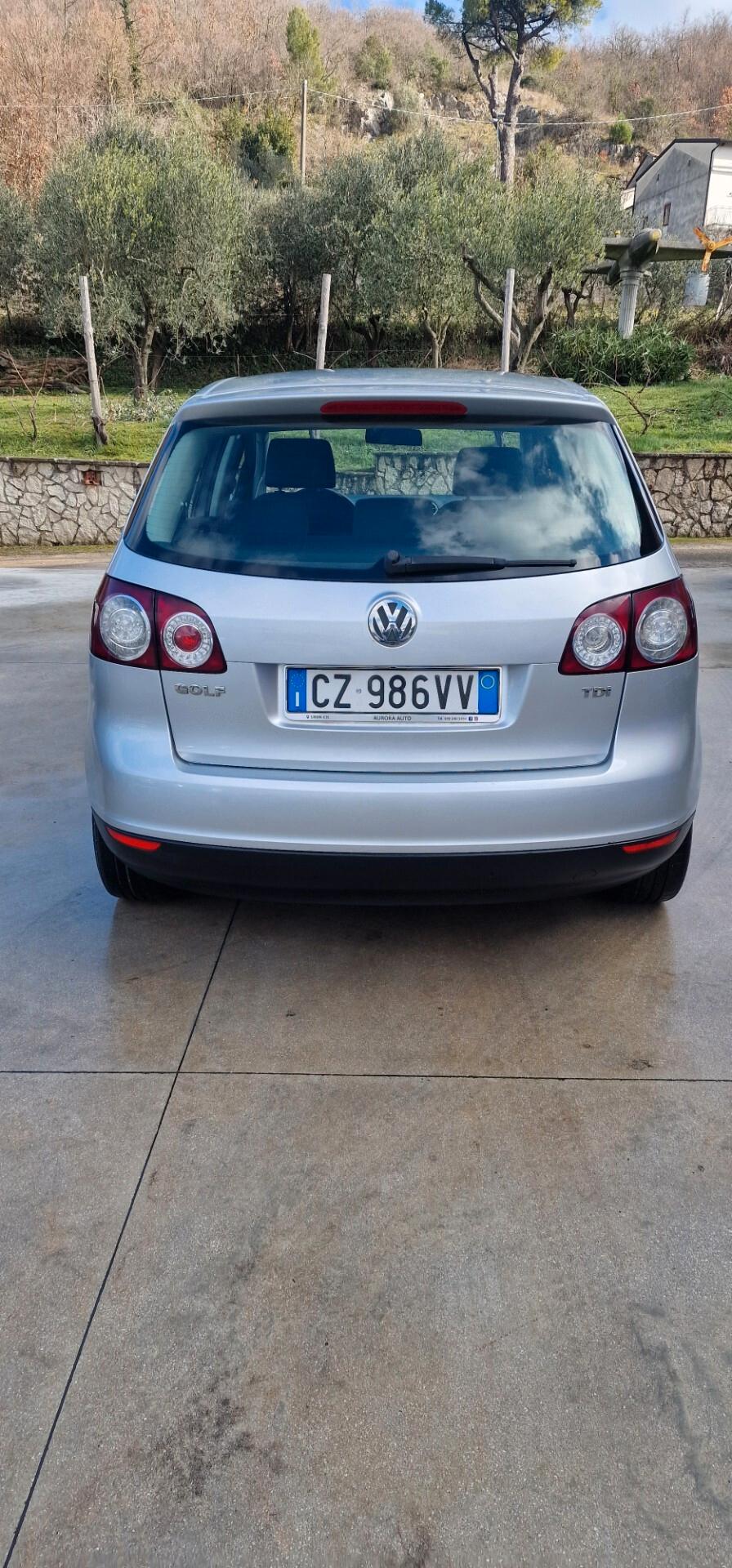 Volkswagen Golf Plus Golf 1.9 TDI 5p. Comfortline
