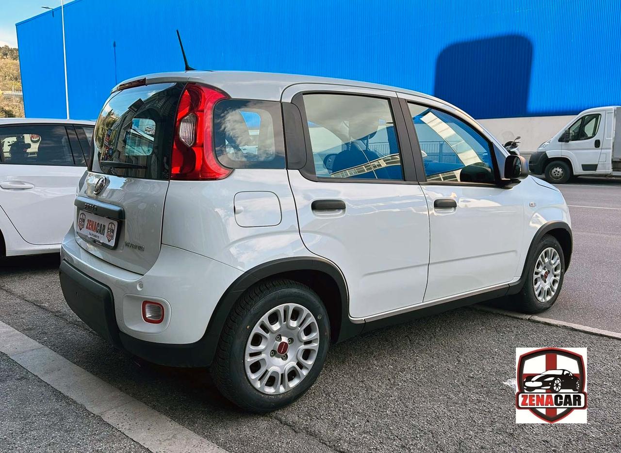 Fiat Panda 1.0 FireFly S&S Hybrid Unico Proprietario Fatturabile Sensori di Parcheggio Radio Dab